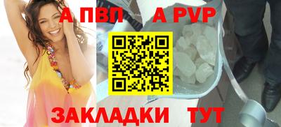a pvp Новозыбков