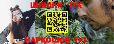 a pvp Новозыбков