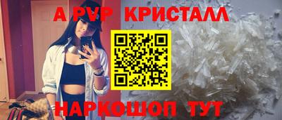 a pvp Новозыбков