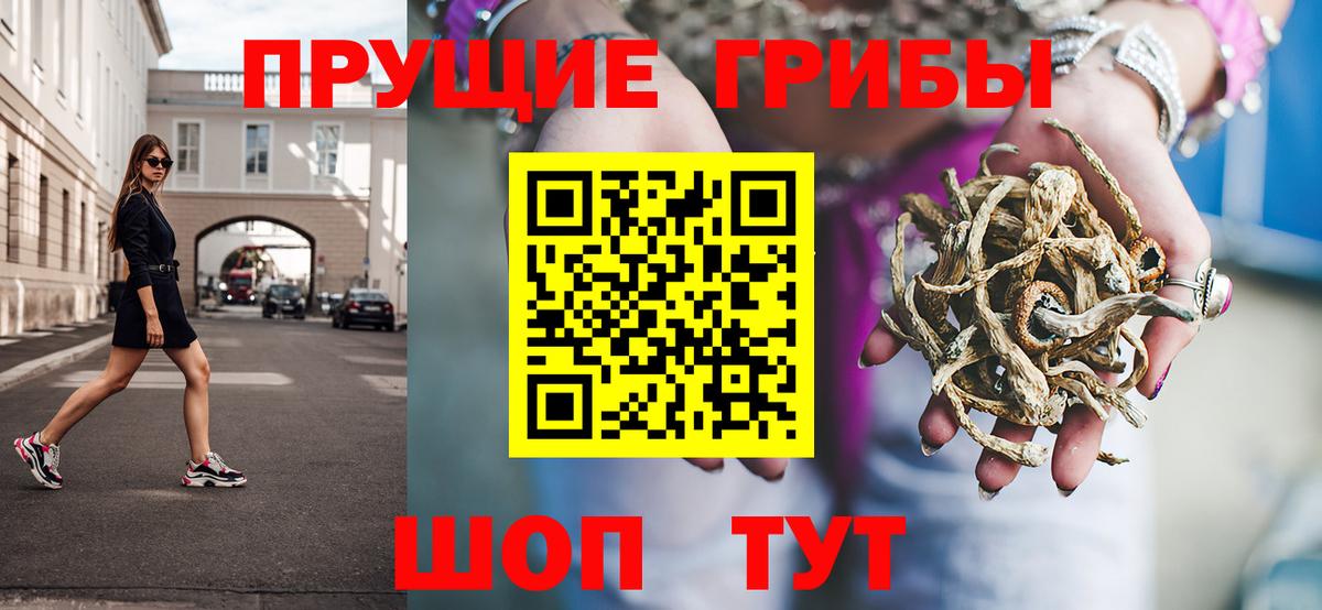 Псилоцибиновые грибы Psilocybe Симферополь